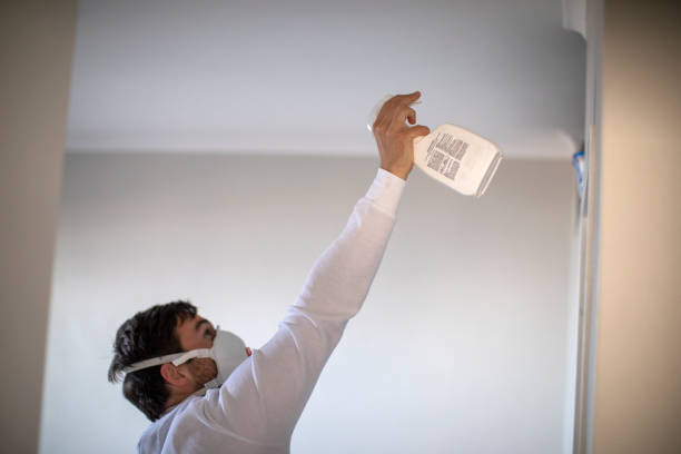 Best Same-Day Mold Removal  in Kearns, UT